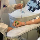 Avis Asti premia il merito e la solidarietà: borse di studio per gli studenti donatori Avis Asti premia il merito e la solidarietà: borse di studio per gli studenti donatori