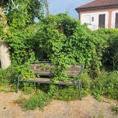 Valmairone come una foresta incolta. Un lettore segnala incuria nella frazione [FOTO]