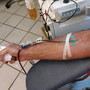 Avis e Fidas di Bra: importante donare il sangue anche in vacanza