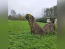 Il dinosauro deturpato Il dinosauro deturpato
