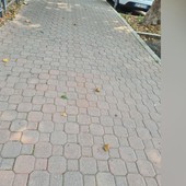 La foto inviataci dalla nostra lettrice con il marciapiede imbrattato di deiezioni canine