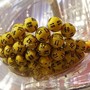 La fortuna bacia Alba, vinti 15mila euro al Lotto La fortuna bacia Alba, vinti 15mila euro al Lotto