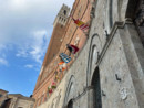 Ph Comune di Siena Ph Comune di Siena