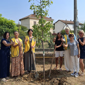 In rappresentanza del Lions Club Asti Alfieri, sono presenti Francesca Ragusa, Elisabetta Lombardi e Paola Bertelle. In rappresentanza del Lions Club Asti Alfieri, sono presenti Francesca Ragusa, Elisabetta Lombardi e Paola Bertelle.