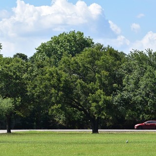 Mobilità e libertà di viaggio: comprendere il valore del noleggio auto Albania