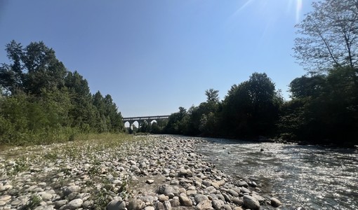 Il fiume Stura, ( foto scattate a fine giugno a Cuneo, zona delle Basse Sant'Anna)