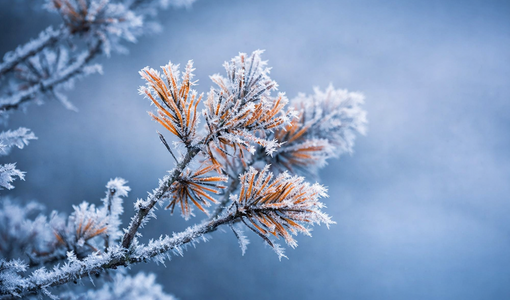 Gelo artico sul Piemonte: Camerana (CN) tocca i -13,7°C, la "Siberia" d'Italia