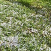 Maltempo sull’Astigiano: temporali e grandine nel pomeriggio