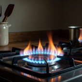 Biomasse a rischio per il DL bollette: Confagricoltura lancia l'allarme. Allasia riconfermato alla guida della Federazione nazionale risorse boschive