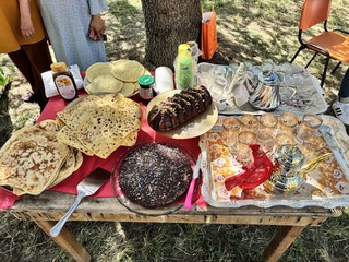 Le immagini della giornata Le immagini della giornata