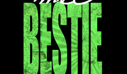 “Bestie”, a Portacomaro la nuova mostra di Gianluigi Delpin “Bestie”, a Portacomaro la nuova mostra di Gianluigi Delpin