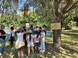 Le immagini della giornata Le immagini della giornata