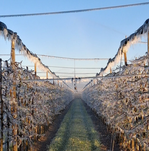 La situazione nelle piana di Cuneo (foto TargatoCN)