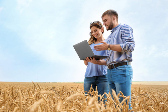 Domande Pac 2025, ritardi e problemi. Confagricoltura lancia l'allarme