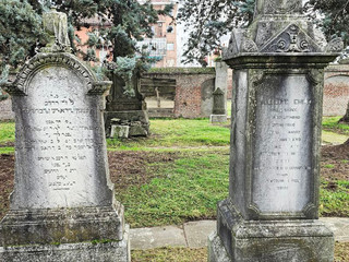 Le immagini della giornata negli scatti di Efrem Zanchettin