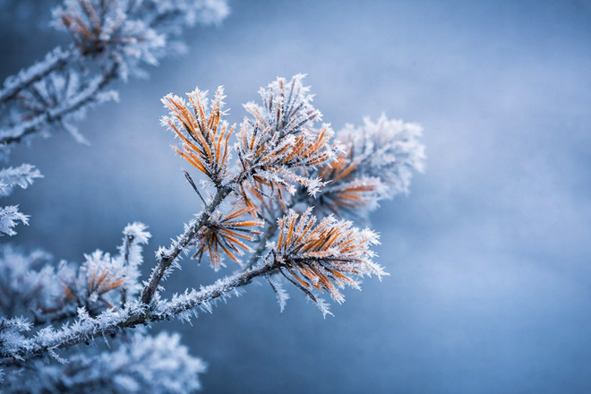 Gelo artico sul Piemonte: Camerana (CN) tocca i -13,7°C, la "Siberia" d'Italia