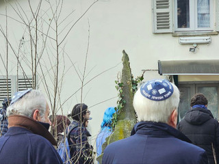 Le immagini della giornata negli scatti di Efrem Zanchettin