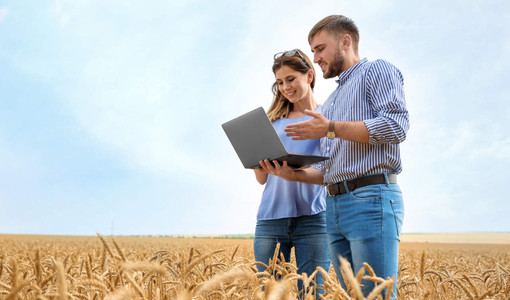 Nuove risorse per l'agricoltura, pronti i premi per l'insediamento dei giovani