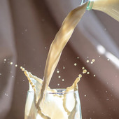 Latte in crisi, prezzi in caduta libera