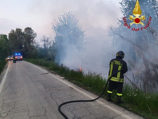Incendio in un canneto a Montemagno, vicino al cimitero
