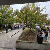 Il primo giorno di scuola al Vercelli