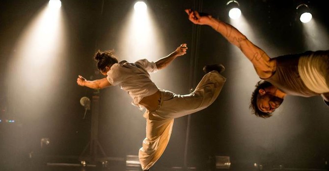 Vertigo Summer Festival: tre giorni di circo contemporaneo e teatro di strada a Cocconato