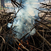 Costigliole chiede alla Regione più flessibilità sulla bruciatura delle ramaglie