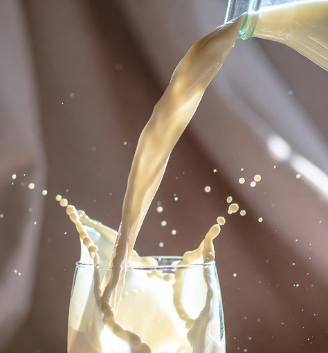 Latte in crisi, prezzi in caduta libera