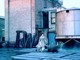 Questa settimana al cinema: Wim Wenders e cinque capolavori. La Sala Pastrone celebra uno degli ultimi grandi maestri del cinema mondiale
