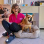 Cambiare rotta per ritrovare se stessi con professionalità e amore per gli animali