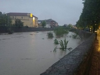 Il Belbo fotografato a Nizza Monferrato intorno alle 7 di questa mattina