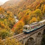 Treno del Foliage: 52 chilometri tra i colori dell'autunno Treno del Foliage: 52 chilometri tra i colori dell'autunno