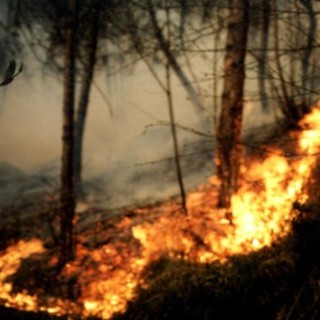 Anas in prima linea contro gli incendi stradali