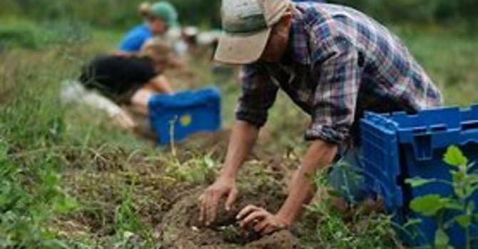 Coldiretti e Anci siglano il Protocollo d'Intesa: agricoltura e comuni insieme per lo sviluppo locale