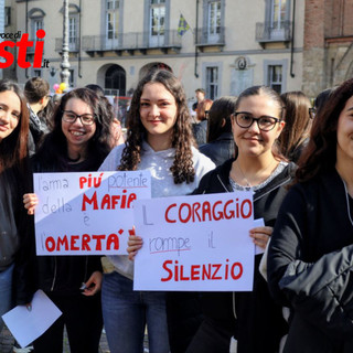 Galleria fotografica di MerfePhoto