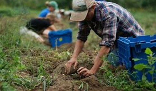Coldiretti e Anci siglano il Protocollo d'Intesa: agricoltura e comuni insieme per lo sviluppo locale