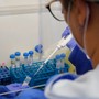 Hantavirus, inviate le indicazioni di sanità pubblica a ospedali e medici. Ma non c'è alcun allarme