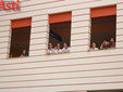 Galleria fotografica di MerfePhoto