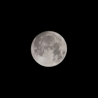 Torna &quot;Camminate al Chiaro di Luna&quot;: tre serate per scoprire il Monferrato