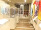 Il Museo del Palio di Asti fino a settembre amplia l'orario di apertura anche nel weekend