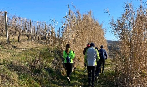 Castelnuovo Calcea, Nizza e Vigliano: le tappe del Nordic Walking in attesa del Natale Castelnuovo Calcea, Nizza e Vigliano: le tappe del Nordic Walking in attesa del Natale