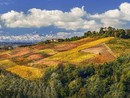 La Meraviglia Unesco: Langhe, Roero e Monferrato attraverso gli occhi di tre fotografi La Meraviglia Unesco: Langhe, Roero e Monferrato attraverso gli occhi di tre fotografi