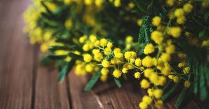 Festa della donna: ad Asti un 8 marzo nel segno di Esperinda Cirio e dell’inclusione Festa della donna: ad Asti un 8 marzo nel segno di Esperinda Cirio e dell’inclusione