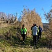 Nordic Walking: ecco tutti gli appuntamenti della settimana