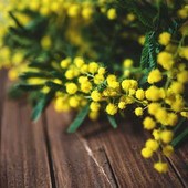 Festa della donna: ad Asti un 8 marzo nel segno di Esperinda Cirio e dell’inclusione