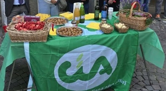 Asti, nasce il mercato bisettimanale dei produttori Cia a San Fedele Asti, nasce il mercato bisettimanale dei produttori Cia a San Fedele