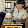McDonald’s cerca 20 persone  per rafforzare i team dei ristoranti in provincia di Cuneo
