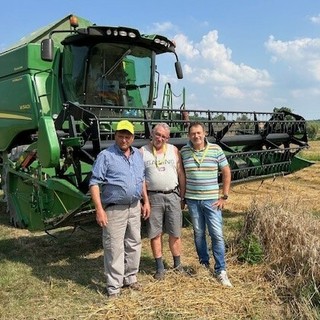 Grano e olio sotto attacco, la mobilitazione nazionale contro le frodi alimentari