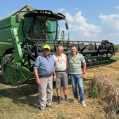 Grano e olio sotto attacco, la mobilitazione nazionale contro le frodi alimentari