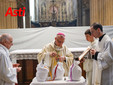 La celebrazione della Messa del Crisma in Cattedrale (Merphefoto)